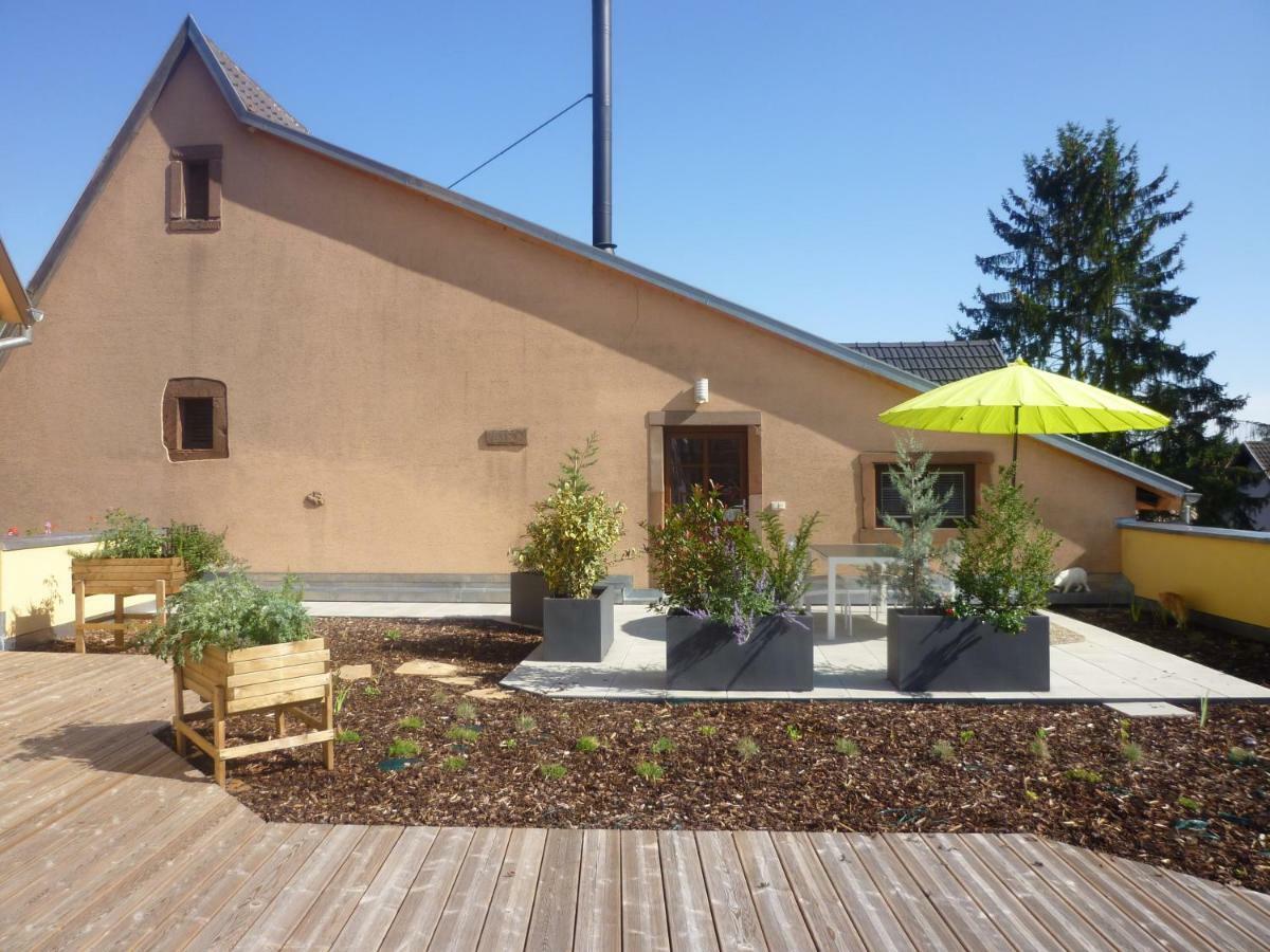 La Tete Au Soleil Appartement Soultzmatt Buitenkant foto