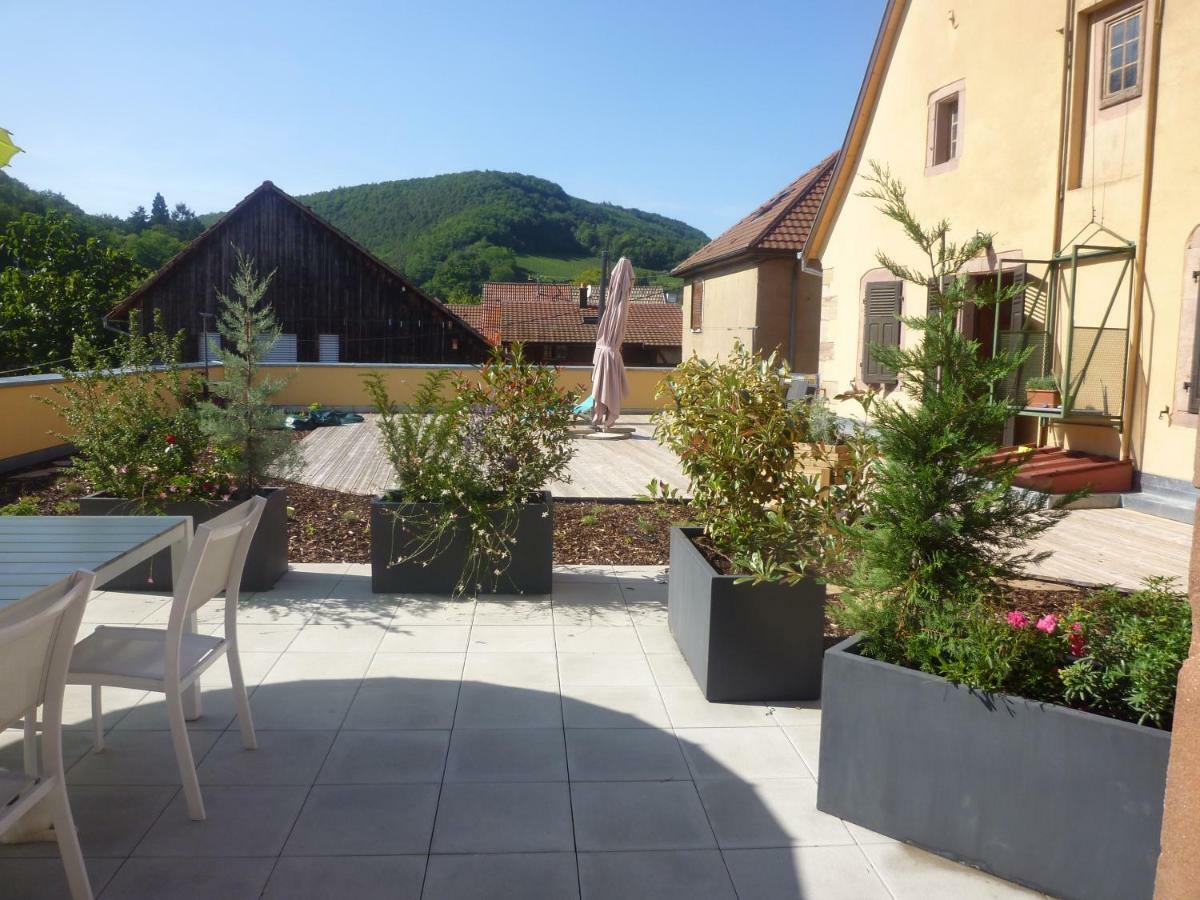 La Tete Au Soleil Appartement Soultzmatt Buitenkant foto